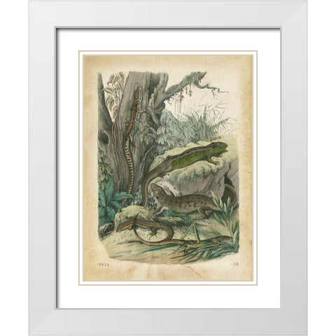 Natures Gathering V White Modern Wood Framed Art Print with Double Matting by Wiek, John