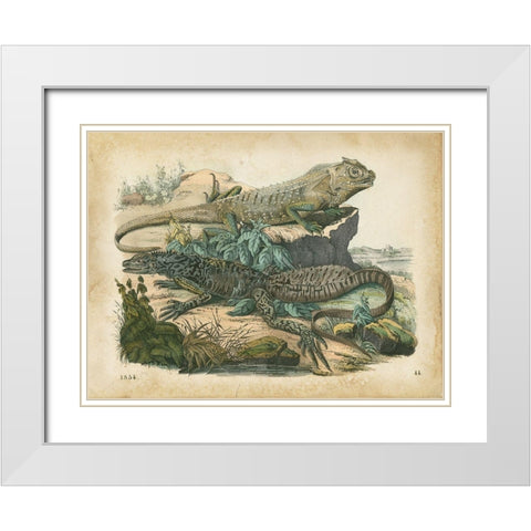 Natures Gathering VI White Modern Wood Framed Art Print with Double Matting by Wiek, John