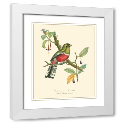 Nature Jardin I White Modern Wood Framed Art Print with Double Matting by Curmer, L.