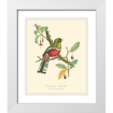 Nature Jardin I White Modern Wood Framed Art Print with Double Matting by Curmer, L.