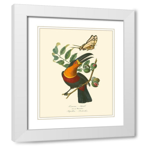 Nature Jardin III White Modern Wood Framed Art Print with Double Matting by Curmer, L.