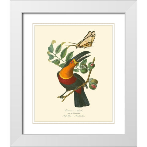 Nature Jardin III White Modern Wood Framed Art Print with Double Matting by Curmer, L.