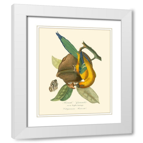 Nature Jardin IV White Modern Wood Framed Art Print with Double Matting by Curmer, L.