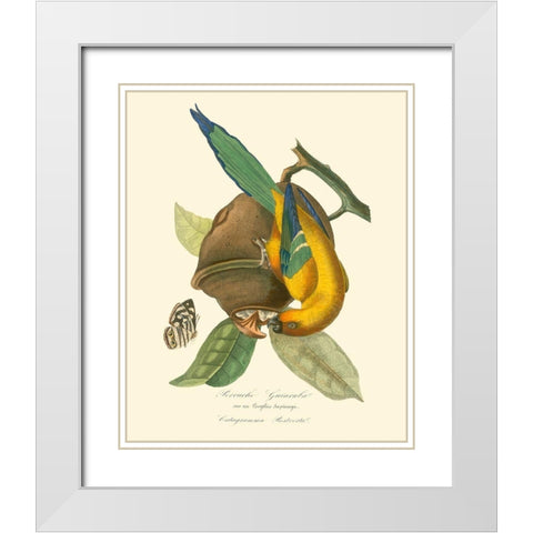 Nature Jardin IV White Modern Wood Framed Art Print with Double Matting by Curmer, L.