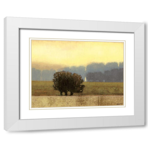 Villa Park I White Modern Wood Framed Art Print with Double Matting by Wyatt Jr., Norman