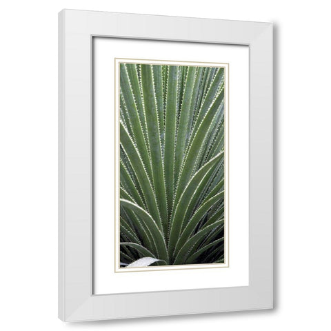 Cactus Celery White Modern Wood Framed Art Print with Double Matting by Perry, Rachel