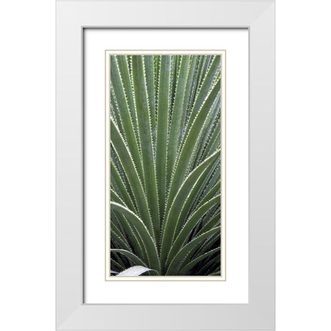 Cactus Celery White Modern Wood Framed Art Print with Double Matting by Perry, Rachel