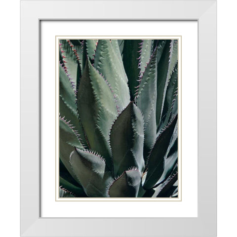 Agave II White Modern Wood Framed Art Print with Double Matting by Perry, Rachel
