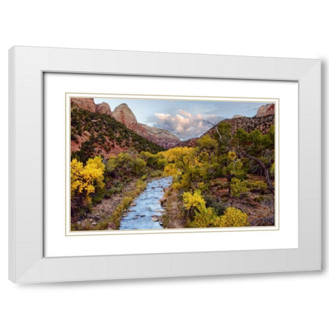 Brilliant View I White Modern Wood Framed Art Print with Double Matting by Chester, Colby