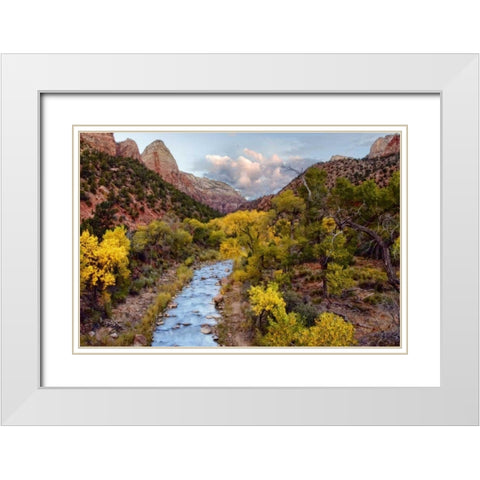 Brilliant View I White Modern Wood Framed Art Print with Double Matting by Chester, Colby