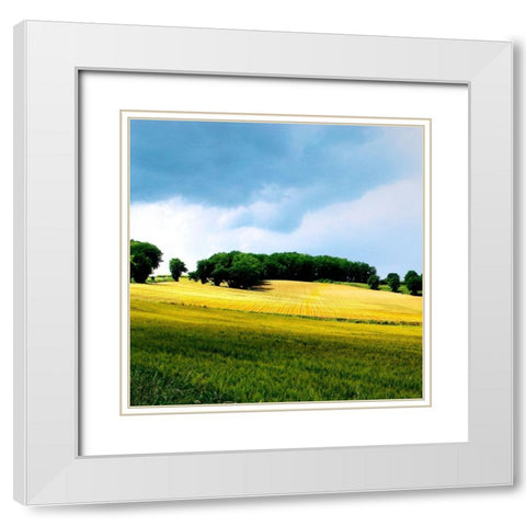 Larrissingle I White Modern Wood Framed Art Print with Double Matting by Chester, Colby