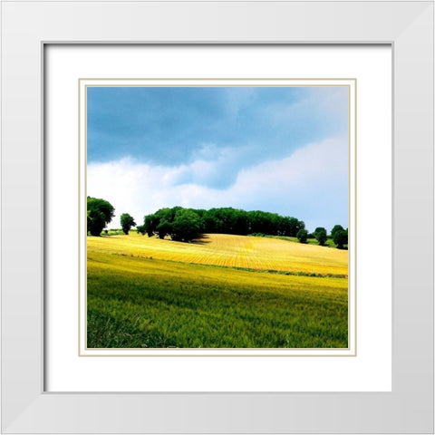Larrissingle I White Modern Wood Framed Art Print with Double Matting by Chester, Colby