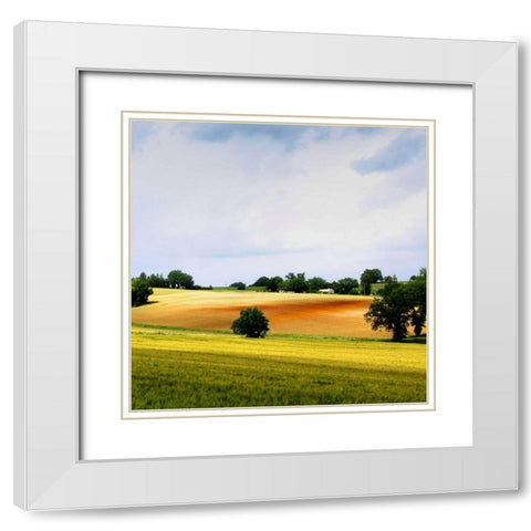 Larrissingle II White Modern Wood Framed Art Print with Double Matting by Chester, Colby