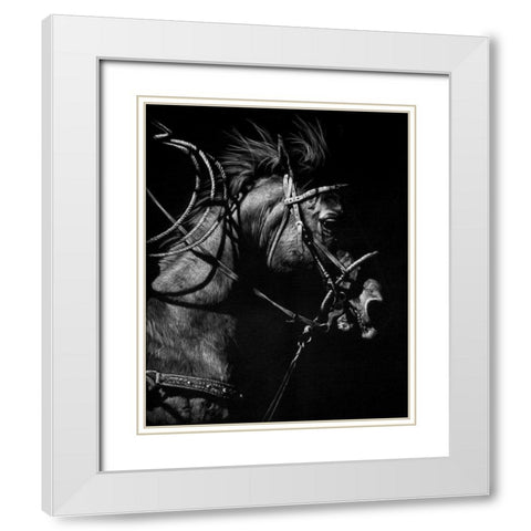 In Pursuit White Modern Wood Framed Art Print with Double Matting by Chapman, Julie T.