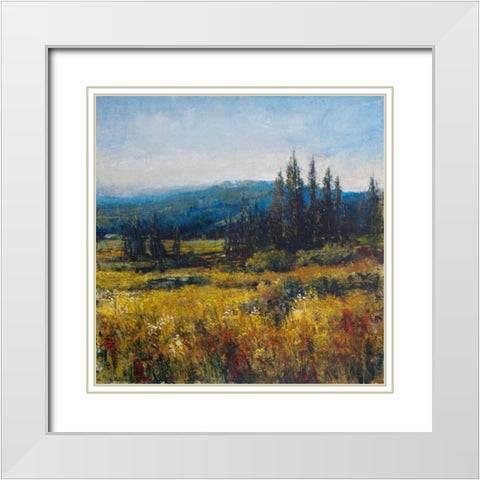 Pacific Northwest I White Modern Wood Framed Art Print with Double Matting by OToole, Tim