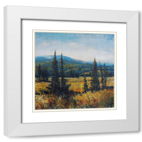 Pacific Northwest II White Modern Wood Framed Art Print with Double Matting by OToole, Tim