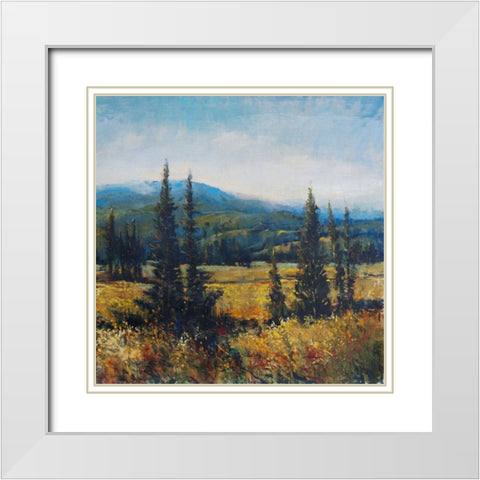 Pacific Northwest II White Modern Wood Framed Art Print with Double Matting by OToole, Tim