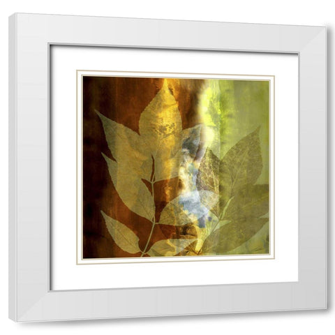 Lush Sunlight White Modern Wood Framed Art Print with Double Matting by Butler, John