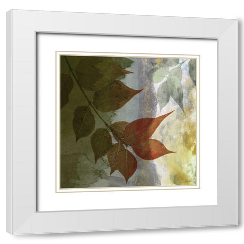 Lush Moonlight White Modern Wood Framed Art Print with Double Matting by Butler, John
