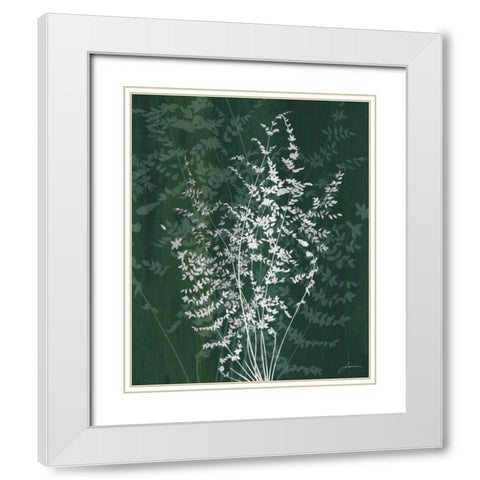 Jewel Ferns II White Modern Wood Framed Art Print with Double Matting by Burghardt, James