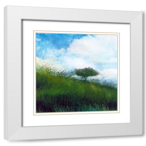 Bright Field IV White Modern Wood Framed Art Print with Double Matting by Blixt, Ingrid