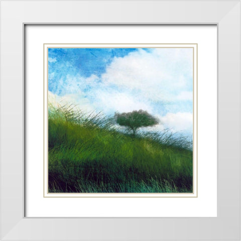 Bright Field IV White Modern Wood Framed Art Print with Double Matting by Blixt, Ingrid