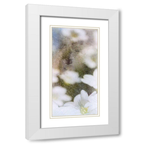 Looking Glass II White Modern Wood Framed Art Print with Double Matting by Blixt, Ingrid