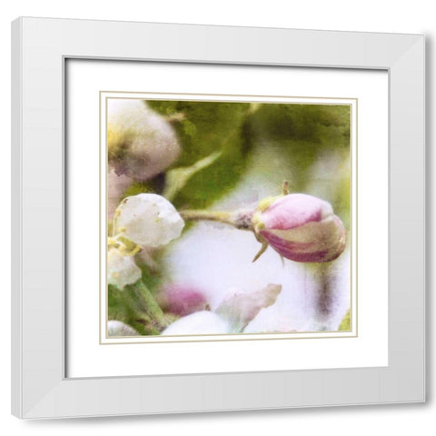 Apple Blossom I White Modern Wood Framed Art Print with Double Matting by Open Journey