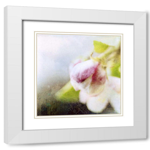 Apple Blossom II White Modern Wood Framed Art Print with Double Matting by Open Journey