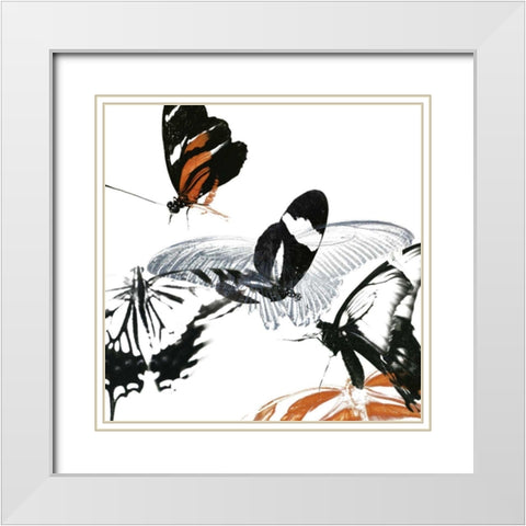 Butterfly Inflorescence III White Modern Wood Framed Art Print with Double Matting by Project, A.