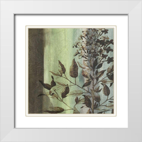 Painted Botanical IV White Modern Wood Framed Art Print with Double Matting by Butler, John
