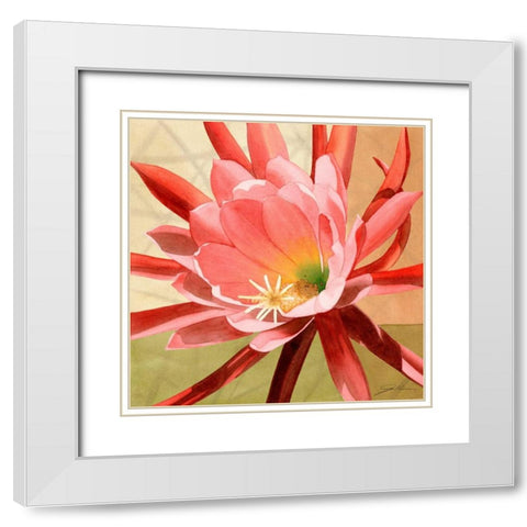 Desert Bloom I White Modern Wood Framed Art Print with Double Matting by Higby, Jason