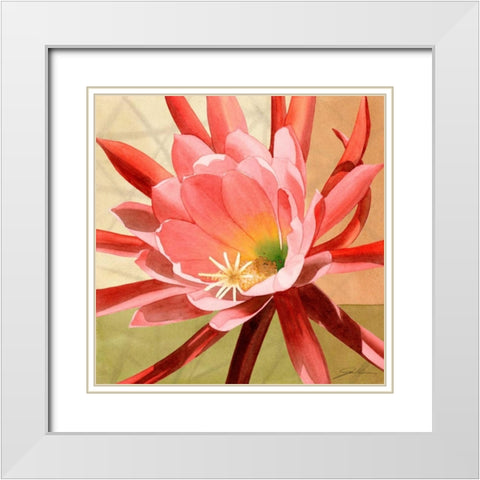 Desert Bloom I White Modern Wood Framed Art Print with Double Matting by Higby, Jason