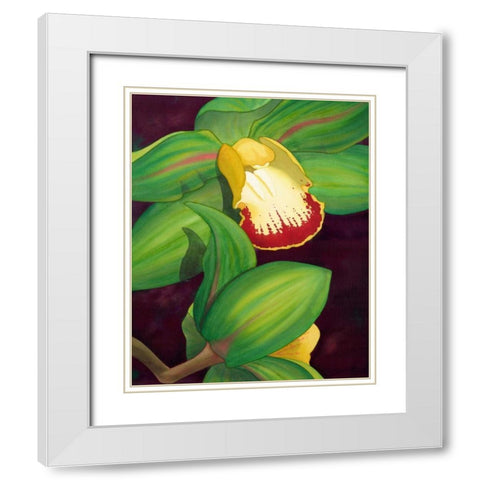 Lime Orchid II White Modern Wood Framed Art Print with Double Matting by Higby, Jason