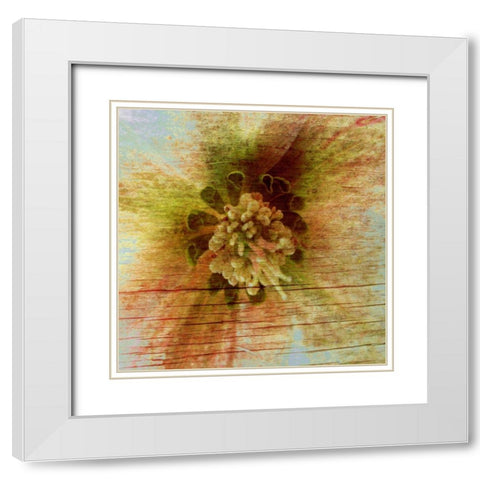 Petrified Stem I White Modern Wood Framed Art Print with Double Matting by Harrington, Danielle