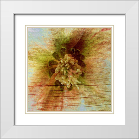 Petrified Stem I White Modern Wood Framed Art Print with Double Matting by Harrington, Danielle