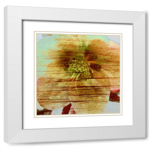 Petrified Stem II White Modern Wood Framed Art Print with Double Matting by Harrington, Danielle