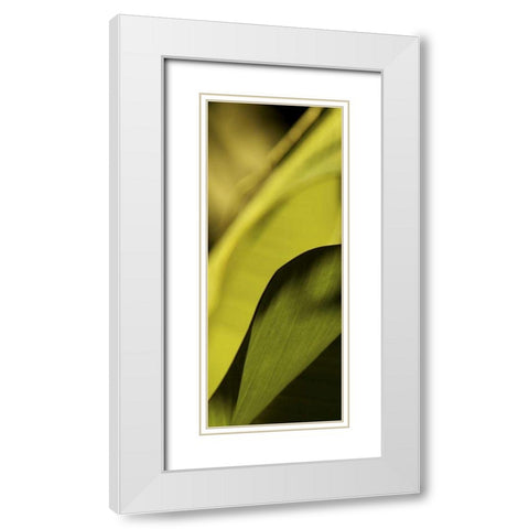 Leaf Detail I White Modern Wood Framed Art Print with Double Matting by Ling, Tang