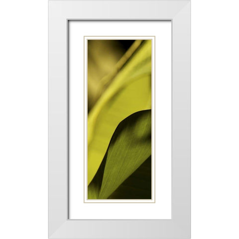 Leaf Detail I White Modern Wood Framed Art Print with Double Matting by Ling, Tang