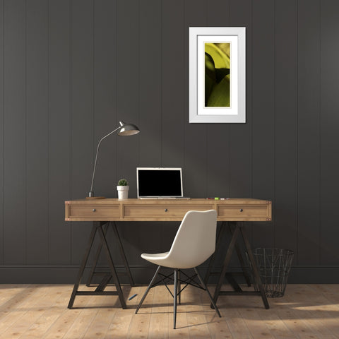 Leaf Detail II White Modern Wood Framed Art Print with Double Matting by Ling, Tang
