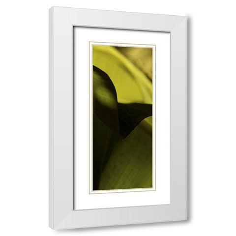 Leaf Detail II White Modern Wood Framed Art Print with Double Matting by Ling, Tang