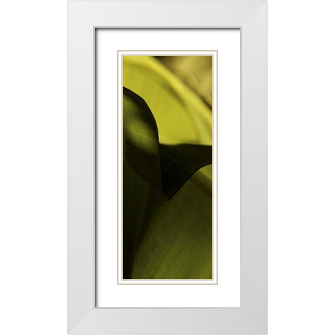 Leaf Detail II White Modern Wood Framed Art Print with Double Matting by Ling, Tang