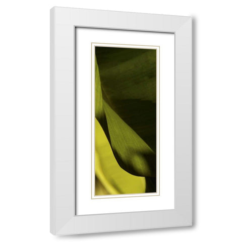 Leaf Detail III White Modern Wood Framed Art Print with Double Matting by Ling, Tang