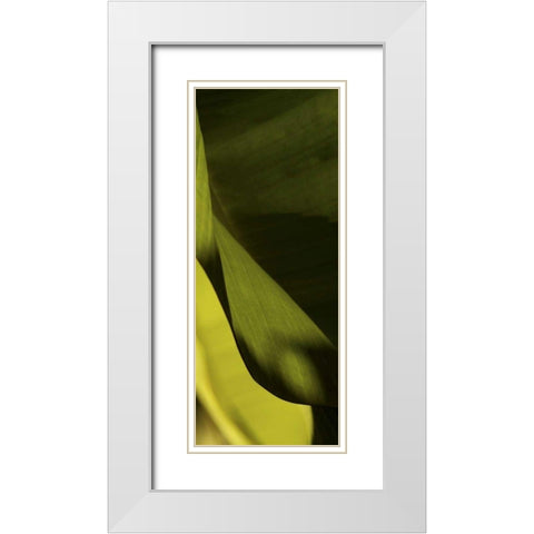 Leaf Detail III White Modern Wood Framed Art Print with Double Matting by Ling, Tang