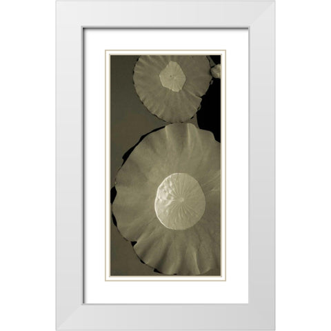 Lotus I White Modern Wood Framed Art Print with Double Matting by Ling, Tang