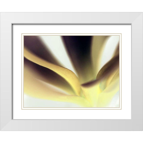Petal II White Modern Wood Framed Art Print with Double Matting by Ling, Tang