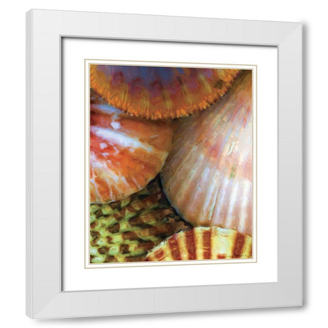 Shell Extraction III White Modern Wood Framed Art Print with Double Matting by Henry, Lola