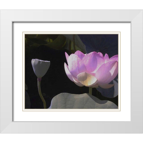 Blushing Lotus III White Modern Wood Framed Art Print with Double Matting by Christensen, Jim