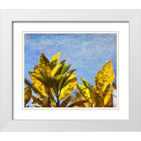 Sun Toward I White Modern Wood Framed Art Print with Double Matting by Robinson, Emily