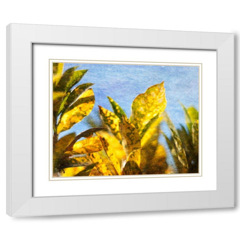Sun Toward II White Modern Wood Framed Art Print with Double Matting by Robinson, Emily